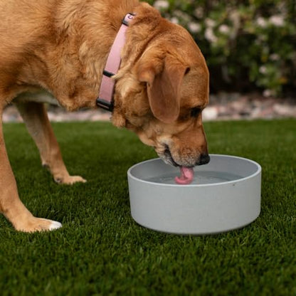 Loving Pets - Dolce Bamboo - Eco-Friendly Pet Bowls & Dishes for Dog, Cats, Puppy Food and Water Dish -Sustainable and Dishwasher Safe, Made with Real Bamboo (Large, Slate-Grey) - color: Slate Grey, size: Large Dish