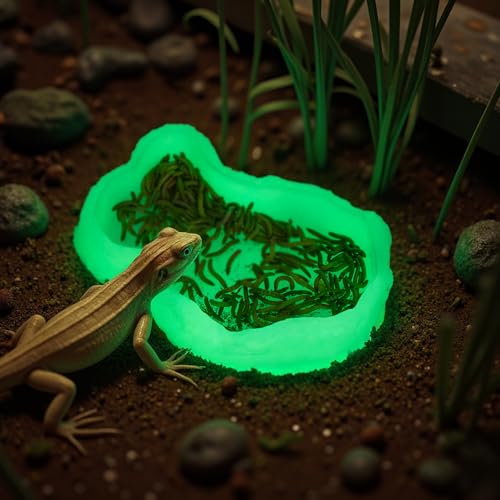 AZV Small Reptile Food Water Rock Bowls,Luminous Amphibian Feeding Dish,Resin Rock Worm Feeder Terrarium for Lizards,Chameleon,Leopard Gecko,Frog,Bearded Dragons,Snake,Hermit Crabs,Turtle Spider Pet - size: Small(3.4*5.5*1.2in)