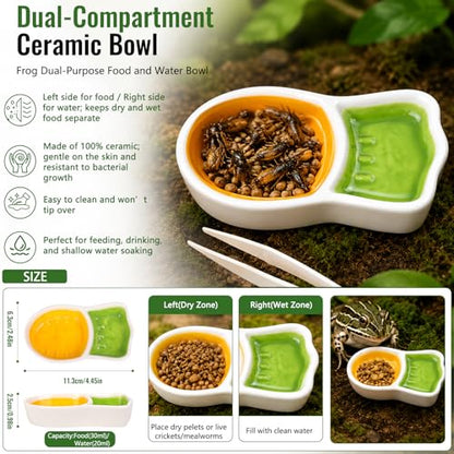 Frog Tank Accessories Set – Complete Tree Frog Habitat Kit with Hideout Cave, Water Dish, Feeding Bowl, Suction Cup Plants & Climbing Decor | Toad Terrarium Supplies for Amphibians