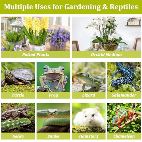 14OZ Natural Sphagnum Moss for Reptile Terrarium Substrate Bedding | 16QT High Expansion, Moisture Retention, Helps Shedding, Long Fibers Dried Moss for Leopard Gecko, Snake, Frog, Turtle - size: 14 OZ
