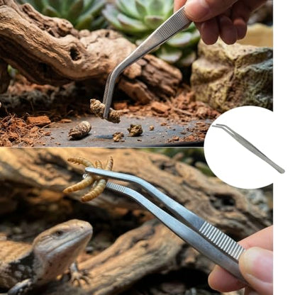Reptile Cleaning Kit 9PCS, Terrarium Cleaning Tools Set with Scraper, Brush, Tweezers & Sponge, Tank Maintenance Kit for Bearded Dragon, Gecko, Snake Habitat Supplies