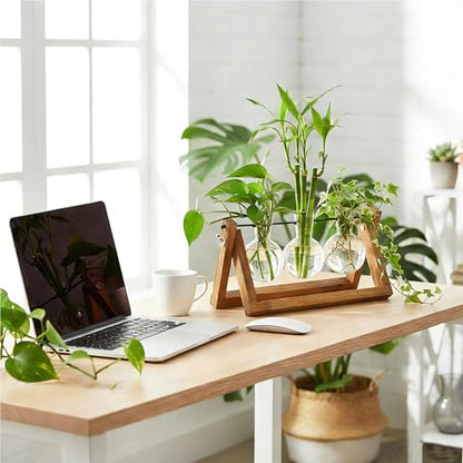 Plant Propagation Station, Plant Terrarium with Wooden Stand | Unique Gardening Birthday Gifts for Women Plants Lovers, Home Office Garden Decor Planter - 3 Bulb Glass Vases - size: 3 Bulb Vase