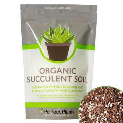 Perfect Plants Succulent & Cactus Soil, 1 qt, Organic Potting Mix | Fast draining blend of peat moss, composted pine bark, perlite and lime for the dry roots cacti love, resealable bag - size: 1 quart