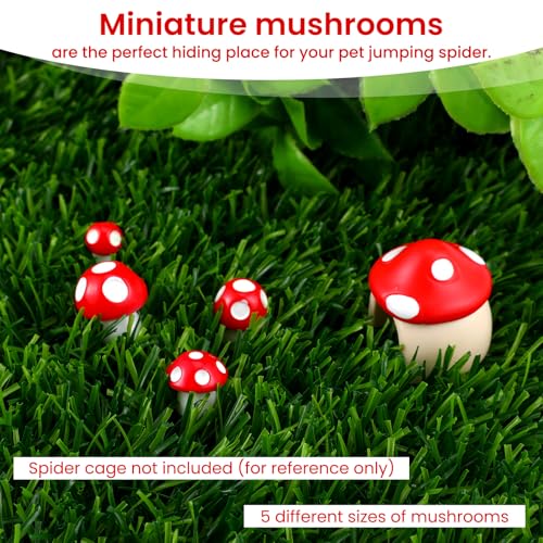 5PCS Jumping Spider Accessories with Mushroom Styling Platforms Enclosure, Spider Habitat Decor with Mushroom Hide, Resin Spiders Accessories and Jumping Spiders Enclosure Deco