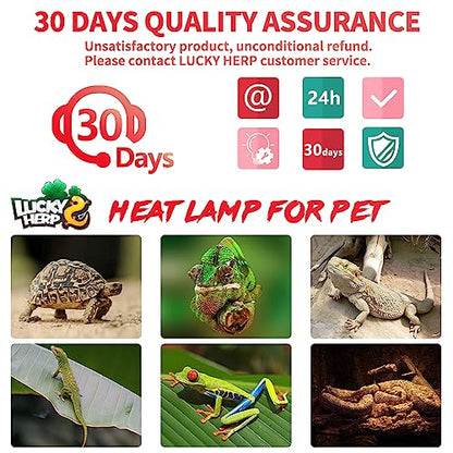 LUCKY HERP Infrared Heat Lamp 50W 2 Pack，Reptile & Amphibian Basking Spot Light Bulbs, Red Heat Lamp Bulbs for Reptiles, Bearded Dragon, Turtle, Lizard, Snake, Chicken - size: 50