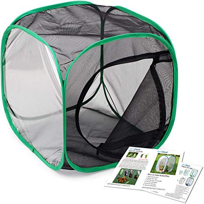 RESTCLOUD Insect and Butterfly Habitat Cage Terrarium Pop-up 12 X 12 X 12 Inches - color: Black With Green, size: 12 x 12 x 12 inches