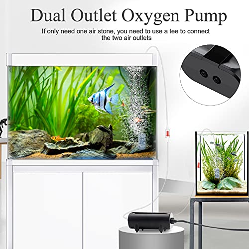 AQQA Aquarium Air Pump,3.5W 5W Dual Outlet Oxygen Pump | with 2 Air Stone,Adjustable Air Valve Quiet Bubbler Pump,Up to 160 Gallon Fish Tank (5w) - size: 5w (for 1-160 gallon)