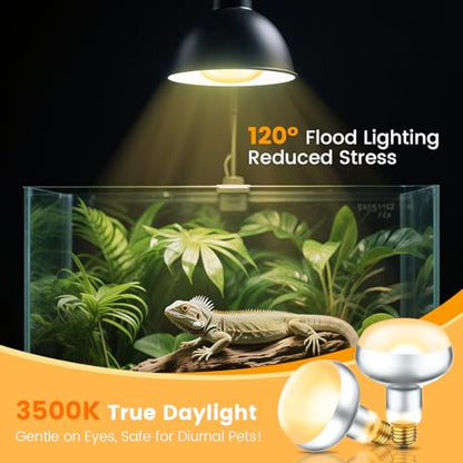 Dual Reptile Lamp Fixture with 100W Daytime Heat & 100W Nighttime Infrared Heat Bulbs, 2 Independent Switches, Reptile Heat Lamp Combo Pack - No UVB - size: ST2
