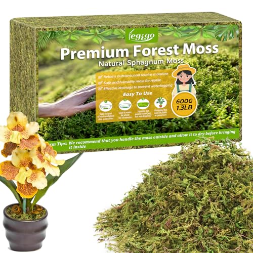 1.3LB Sphagnum Moss for Plants, 25QT Natural Long Fiber Orchid Moss | Drainage & Moisture Retention, Green Plant Moss for Orchid Repotting, Carnivorous, Succulents, Reptile Bedding & Terrariums - size: 1.3LB