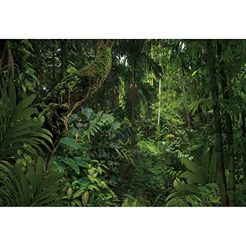 10x7ft Jungle Forest Photography Backdrop for Outdoorsy Camping Theme Party Background Spring Mysterious Rainforest Jungle Forest Tree Natural Scenery Kids Adult Wedding Photo Studio Props - size: 10x7ft