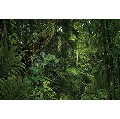 10x7ft Jungle Forest Photography Backdrop for Outdoorsy Camping Theme Party Background Spring Mysterious Rainforest Jungle Forest Tree Natural Scenery Kids Adult Wedding Photo Studio Props - size: 10x7ft
