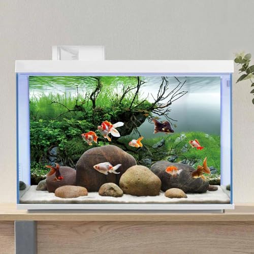 AWERT 48x18 inches Branches Fish Tank Background Seaweed Aquarium Background River Bed & Lake Aquarium Background Vinyl Background - size: 48x18in/120x45cm