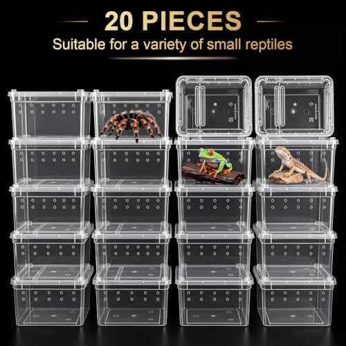 Irenare 20 Pcs Reptile Breeding Box Plastic Snake Breeding Box Transparent Small Reptile Acrylic Carrier for Bearded Dragon Lizard Gecko(5.91 x 3.94 x 2.56 Inch,Standard)