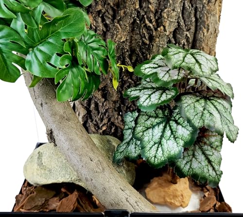 Woyrise Reptile Artificial Plants for Terrarium Decor, Amphibian Habitat Decorations Bearded Dragon Tank Accessories fit Crested Gecko Leopard Lizard Chameleon Snake Frog - Fake Green Heuchera - color: E-green Heuchera