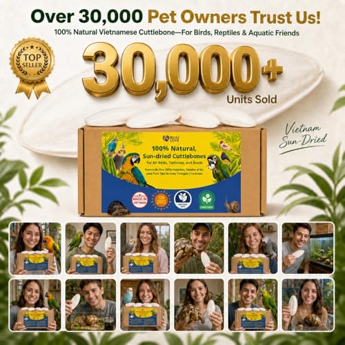 Birds LOVE 7.5-8" Cuttlebone for Birds – 100% Natural Sun-Dried Calcium Carbonate Mineral Supplement – for Parakeets, Budgies, Cockatiels, Finches & Canaries – 1 Pack with Holder – Made in Vietnam - size: 1 Count (Pack of 1)