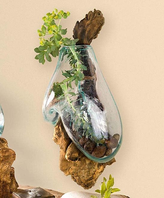 OMA Handcrafted Molten Glass on Driftwood Wall Planter Vase – Unique Hanging Terrarium & Decorative Sculpture – Rustic Coastal Wall Art for Succulents, Air Plants, Indoor Décor - Artisan Boho Gift