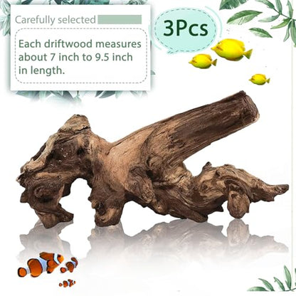 Tfwadmx Natural Driftwood Aquarium Decor Wood Branches, 3 Pieces 7-9.5" Fish Tank Driftwood Decoration, Terrarium Mopani Wood for Aquarium Freshwater Reptile Tank - size: Medium: 7-9.5"（3Pcs）