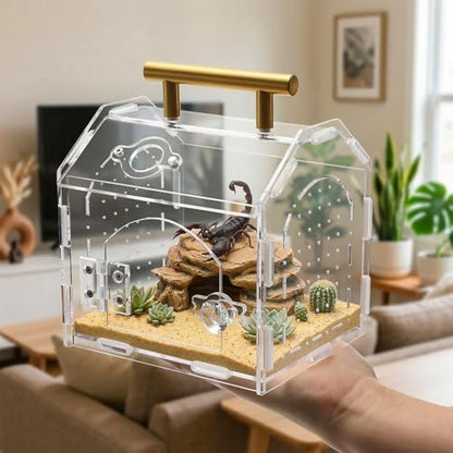 Tlence Jumping Spider Enclosure with Handle, Front Opening Acrylic Arboreal Terrarium with Magnetic Closure, Portable Micro Reptile Habitat for Tarantulas, Frogs, Gecko, Mantis