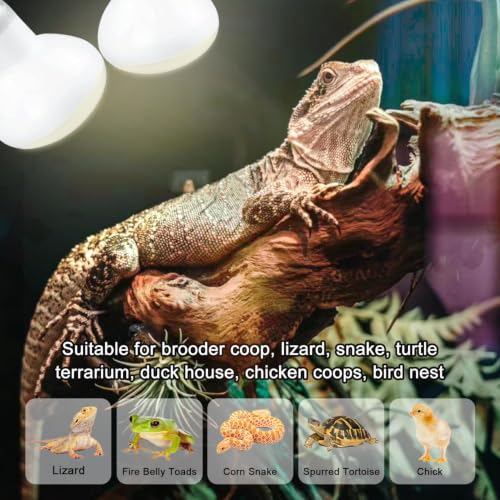 Reptile Heat Lamp 75W, Daylight UVA Basking Light Bulbs with E26 Base for Lizards, Turtles, Snakes and Amphibians 2 Pack