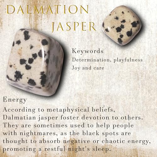 Dalmatian Jasper Chips Bulk 1lb, 600+ Pieces, 0.4-0.9in Natural Stones - color: Dalmatian Jasper, size: 1LB