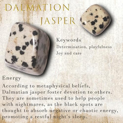 Dalmatian Jasper Chips Bulk 1lb, 600+ Pieces, 0.4-0.9in Natural Stones - color: Dalmatian Jasper, size: 1LB