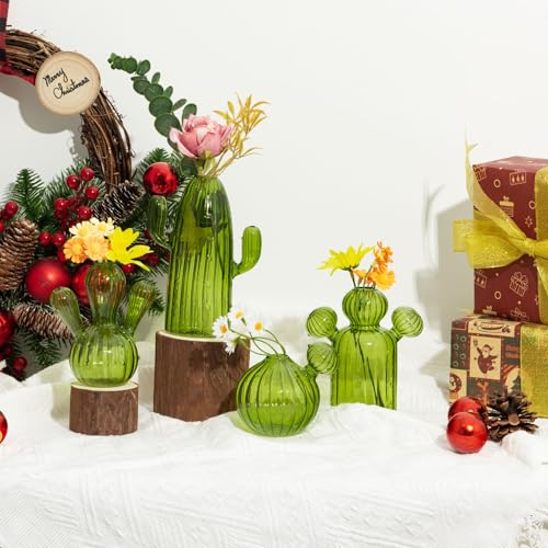 XXXFLOWER Cactus Plant Propagation Station 4 Cactus Vase Terrarium Jars | Desk Plant Cuttings Plant Holders Unique Glass Flower Vase for Hydroponics Plants for Plant Lovers Home Garden Decor - size: 4PCS Cactus Vase