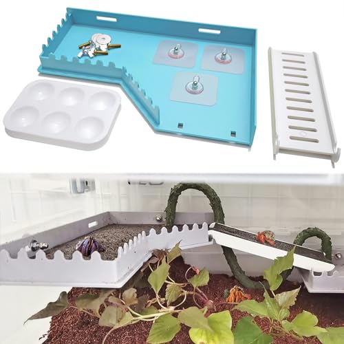 Hermit Crab Accessories - Platform with Ladder and Food Dish, Hermit Crab Climbing Toys, Habitat Supplies and Tank Accessories for Reptiles, Hamsters, Geckos, Small Lizards - color: Blue