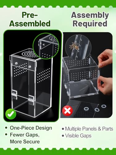 Escape Proof Jumping Spider Enclosure, Tarantula Terrarium Accessories Kit | MADHOLLY One-Piece, No Assembly Required, with Magnetic Door, Micro Vent Holes, DIY Decors, for Mantises/Insects, 3x3x6in