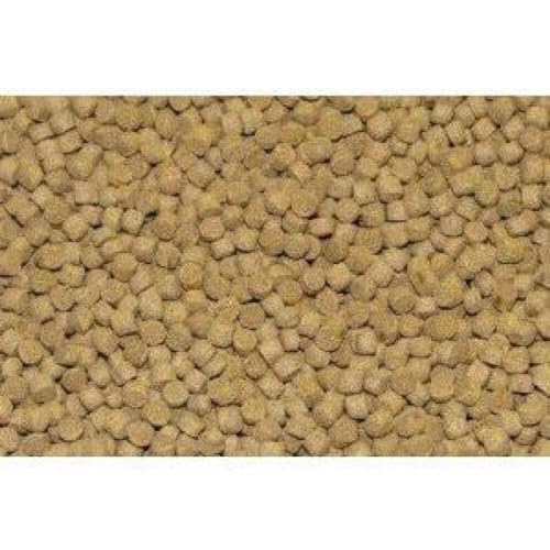 Northfin Cichlid Fish Food, Slow-Sinking Pellets, 1mm, 500g | Cichlid Formula; slow-sinking pellets for carnivorous & omnivorous cichlids; whole Antarctic krill meal; crafted in Canada - size: Net Wt: 500g, style: 1mm