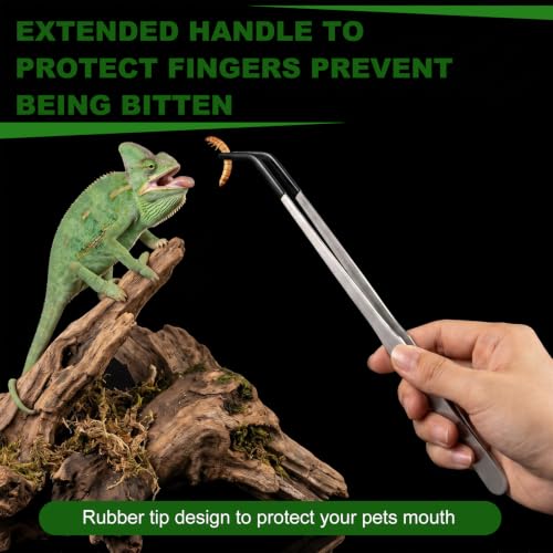 Reptile Feeder Combo Set, 2 Pack Escape-Proof Corner & Wall-Mounted Bowls with 2 Pack 10.6" Stainless Steel Straight & Curved Tongs with Rubber Tips for Bearded Dragon Gecko Lizard Frog