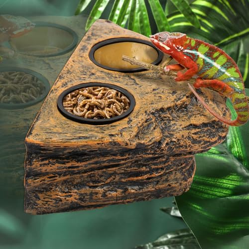 Reptile Magnetic Feeder Ledge, Plastic Reptile Food Water Dish with Bowl Feeding Cups, Double Bowl Gecko Feeder Ledge, Easy Install Reptile Feeding Bowl Lizard Feeding Ledge for Lizard Crested Gecko