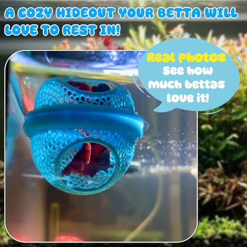 Blue Floating Betta Hide & Shrimp Cave: 3-in-1 Aquarium Hammock, Feeder & Resting Spot for Betta Fish, Shrimp & Small Fish | Eco-Safe PLA - color: Blue