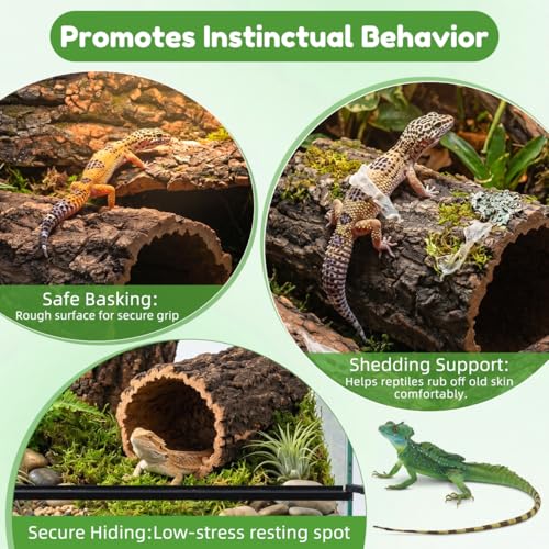 Natural Cork Bark for Reptiles - 3Pcs Reptile Hide & Terrarium Decor Set - Wood Log Rounds & Flats for Leopard Gecko, Bearded Dragon, Snake & Crested Gecko Habitat - Climbing Surface