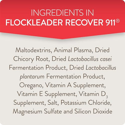 Recover 911, Severe Stress Probiotic Water Supplement for Chickens with Electrolytes, Prebiotics & Oregano, Molting, Extreme Weather, and Predator Attack Support, 8 oz (Pack of 2) - size: 8 Ounce (Pack of 2), style: Recover 911