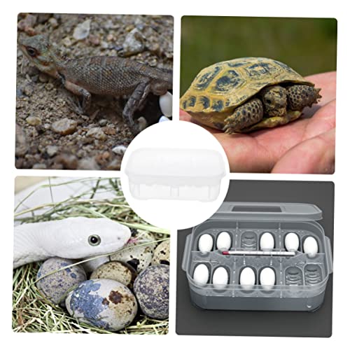 Reptile Incubation Box Transparent Hatchery for Lizard Eggs Design Easy to Clean Lightweight and Compact for Reptile Breeding and Hatching