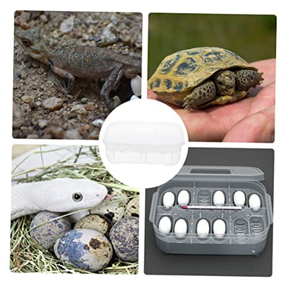 Reptile Incubation Box Transparent Hatchery for Lizard Eggs Design Easy to Clean Lightweight and Compact for Reptile Breeding and Hatching