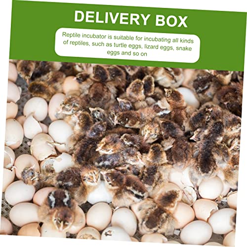 Toddmomy 16-Compartment Reptile Egg Incubator Tray 2-Pack Hatching Box for Gecko and Lizard Eggs Sturdy Plastic Breeding Box for PET Reptile Supplies