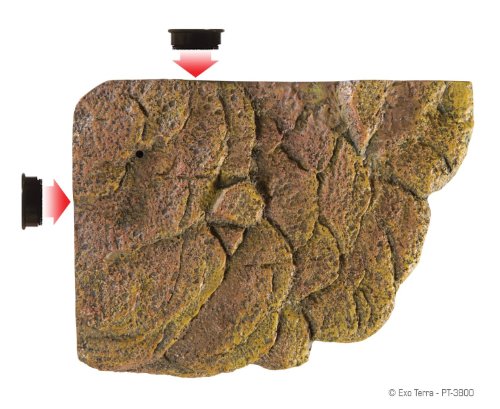 Exo Terra Turtle Bank - Small - size: Small