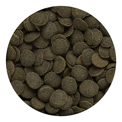 Hikari Mini Algae Wafers, 0.77 oz - size: 0.77 Ounce (Pack of 1)