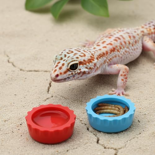 Crested Gecko Food Dish, Water Bowl, Reusable Crested Gecko Tank Accessories, Small Reptile Feeding Dish, Reptile Spoon, Silicone Hermit Crab Tortoise Small Pet