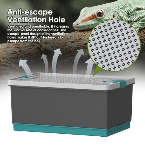 Self-Cleaning Reptile Feeder Insect Habitat with Escape-Proof Lid, Removable Climbing Frame, Water Sponge & Bug Spoon – Cricket/Roach Enclosure, Easy-Clean, Ventilated for Lizards, Frogs & Pets