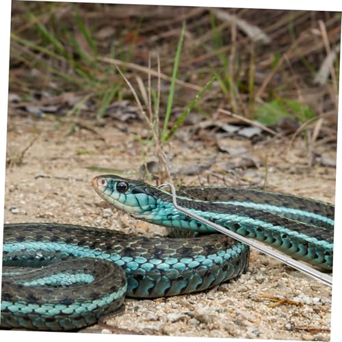 ORFOFE Eco-Friendly Snake Catcher Telescopic Snake Pole Reptile Handling Tool