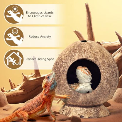 PINVNBY 2 Pcs Natural Coconut Shell Reptile Hide Crested Gecko Tank Accessories for Small Lizard Leopard Gecko Spider Snail Hermit Crab Hideout - size: High-Crowned Style, 2PCS