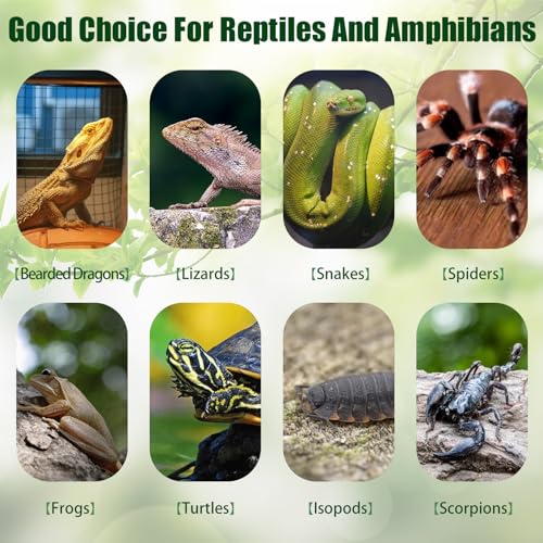 VCEPJH Reptile Bark Bedding,1 LB Natural Cork Bark for Reptiles Flat Cork Wood Terrarium Substrate Tank Supplies for Snake Spiders Bearded Dragons Hermit Crabs Geckos