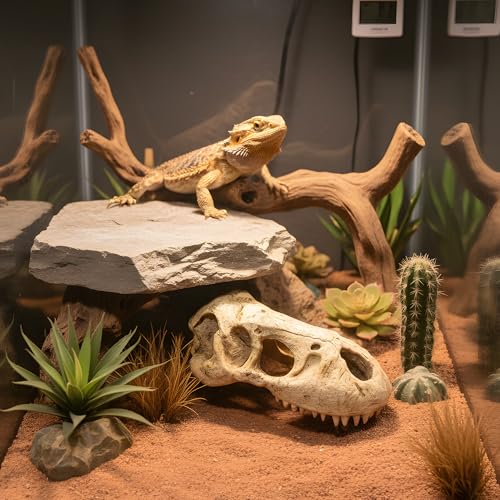 T-Rex Skull, Dinosaur Aquarium Decor & Reptile Terrarium Ornament | Large resin dinosaur fossil replica for fish tanks and reptile enclosures; Jurassic decor for gecko and lizard habitats