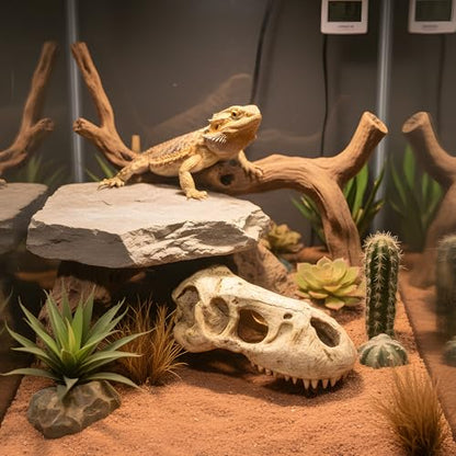 T-Rex Skull, Dinosaur Aquarium Decor & Reptile Terrarium Ornament | Large resin dinosaur fossil replica for fish tanks and reptile enclosures; Jurassic decor for gecko and lizard habitats