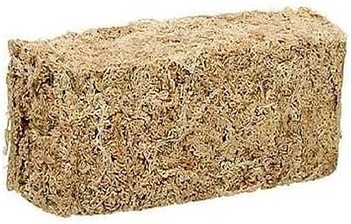 Zoo Med Laboratories SZMCF25 New Zealand Sphagnum Moss, .33-Pound,Black - size: 0.33 Pound