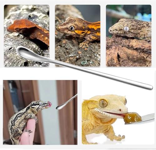 3PCS Reptile Crested Gecko Food Spoons,8.8" Stainless Steel Reptile Spoon,Fruit Mixing StirringFood Feeding Spoons Long Handle Feeding Tool Fit Gecko Lizard Gargoyle Bearded and Other Small Animals