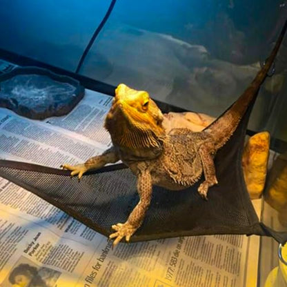 2 Pcs Bearded Dragon Lizard Hammock, Triangular, Breathable Mesh, Black, 13" x 13" x 19" - color: Black