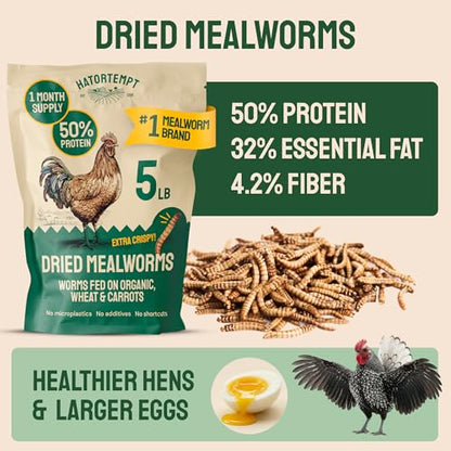 Hatortempt 5lb Dried Mealworms for Chickens & Wild Birds, Chicken Feed | High-Protein Chicken Food - Meal Worms Fed an Organic Diet - Hand Inspected Treats for Laying Hens & Ducks - 2 Yr Shelf Life - size: 5 Pound (Pack of 1)